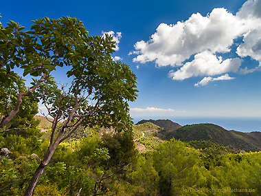 Methana Landschaft