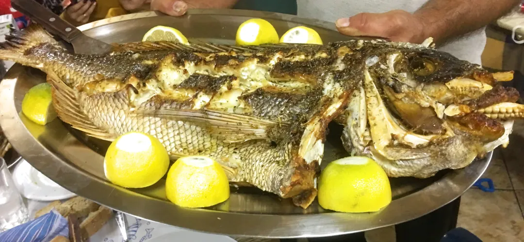 Fischplatte Griechenland